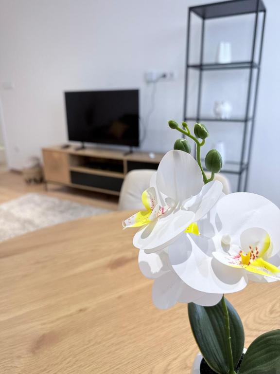 Sarah Doe Apartman – Orchidea és televízió a nappaliban